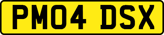 PM04DSX