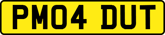 PM04DUT