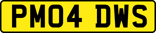 PM04DWS