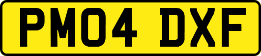 PM04DXF