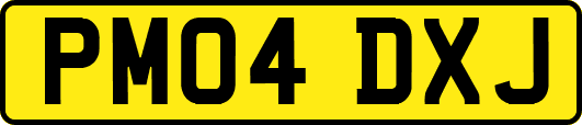 PM04DXJ