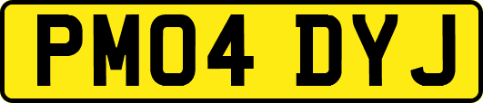 PM04DYJ