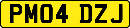 PM04DZJ