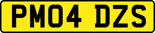 PM04DZS