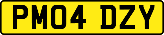 PM04DZY
