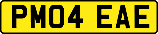 PM04EAE