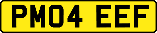 PM04EEF