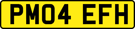 PM04EFH