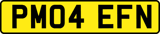 PM04EFN