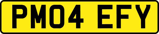 PM04EFY