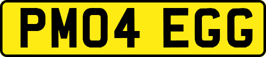PM04EGG