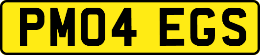 PM04EGS
