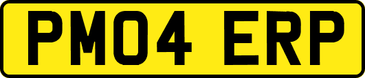 PM04ERP