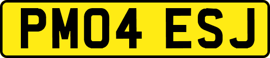 PM04ESJ