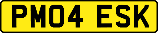 PM04ESK