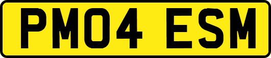 PM04ESM