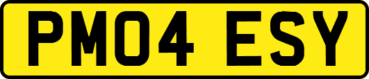 PM04ESY