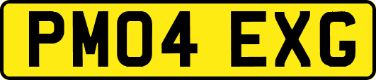 PM04EXG
