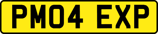PM04EXP