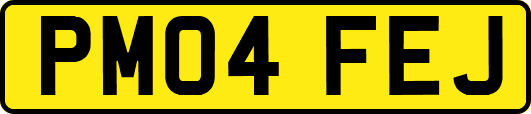 PM04FEJ