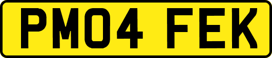 PM04FEK