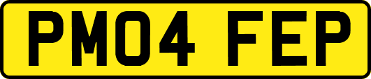 PM04FEP