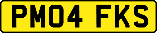 PM04FKS