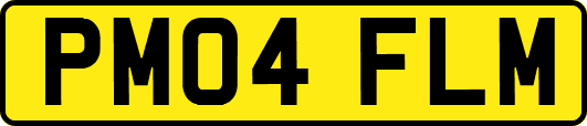 PM04FLM