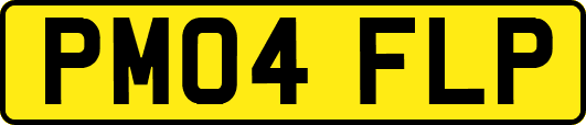 PM04FLP
