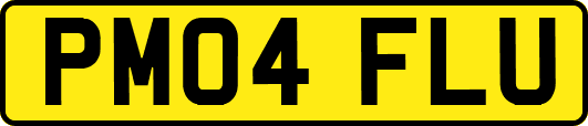 PM04FLU