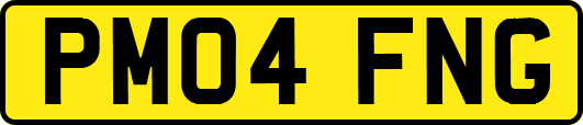 PM04FNG
