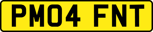 PM04FNT