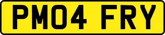 PM04FRY