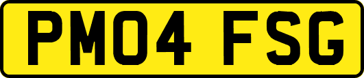 PM04FSG