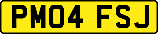 PM04FSJ