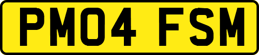 PM04FSM