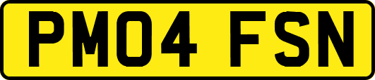 PM04FSN