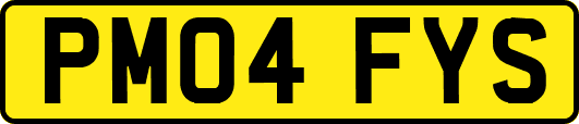 PM04FYS