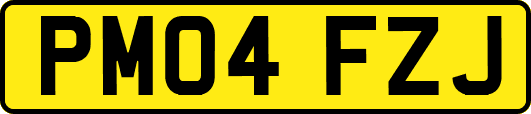 PM04FZJ