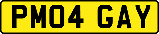 PM04GAY