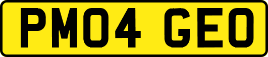PM04GEO