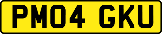 PM04GKU