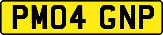 PM04GNP