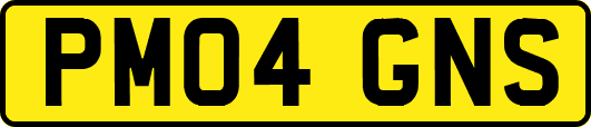 PM04GNS