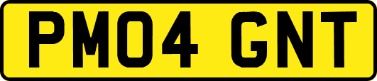 PM04GNT