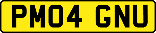 PM04GNU