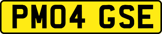 PM04GSE