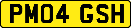 PM04GSH