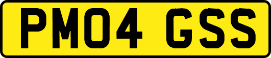 PM04GSS