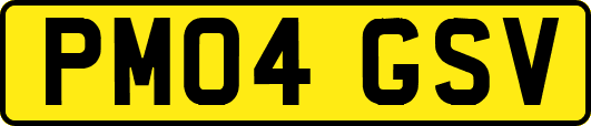 PM04GSV